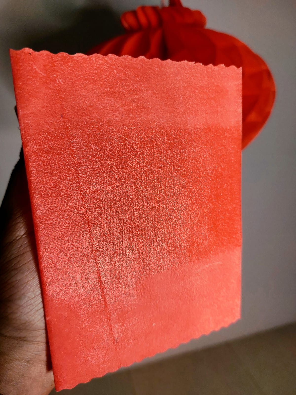 Beeswax Wrap – The Eco-Friendly Alternative to Plastic usage